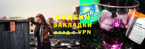 дурь Вяземский
