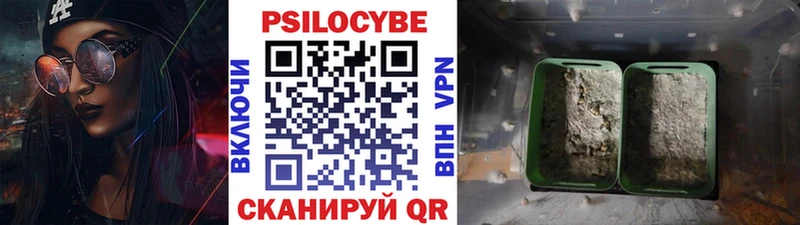Псилоцибиновые грибы Psilocybe  где можно купить   дарк нет формула  Липецк 