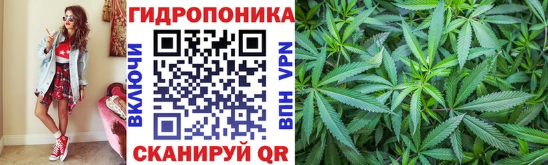 MEGA маркетплейс  купить закладку  Липецк  Каннабис OG Kush 
